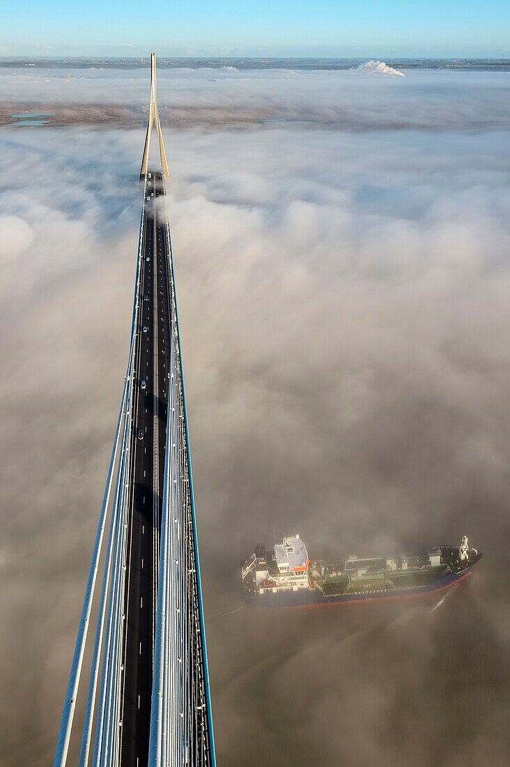 Frankreich, zwischen Calvados und Seine Maritime, Frachtgut fährt unter der Pont de Normandie (Normandie-Brücke) hindurch, die aus dem morgendlichen Herbstnebel auftaucht und die Seine überspannt, im Hintergrund das Naturschutzgebiet der Seine-Mündung, Blick von der Spitze des Südpylons