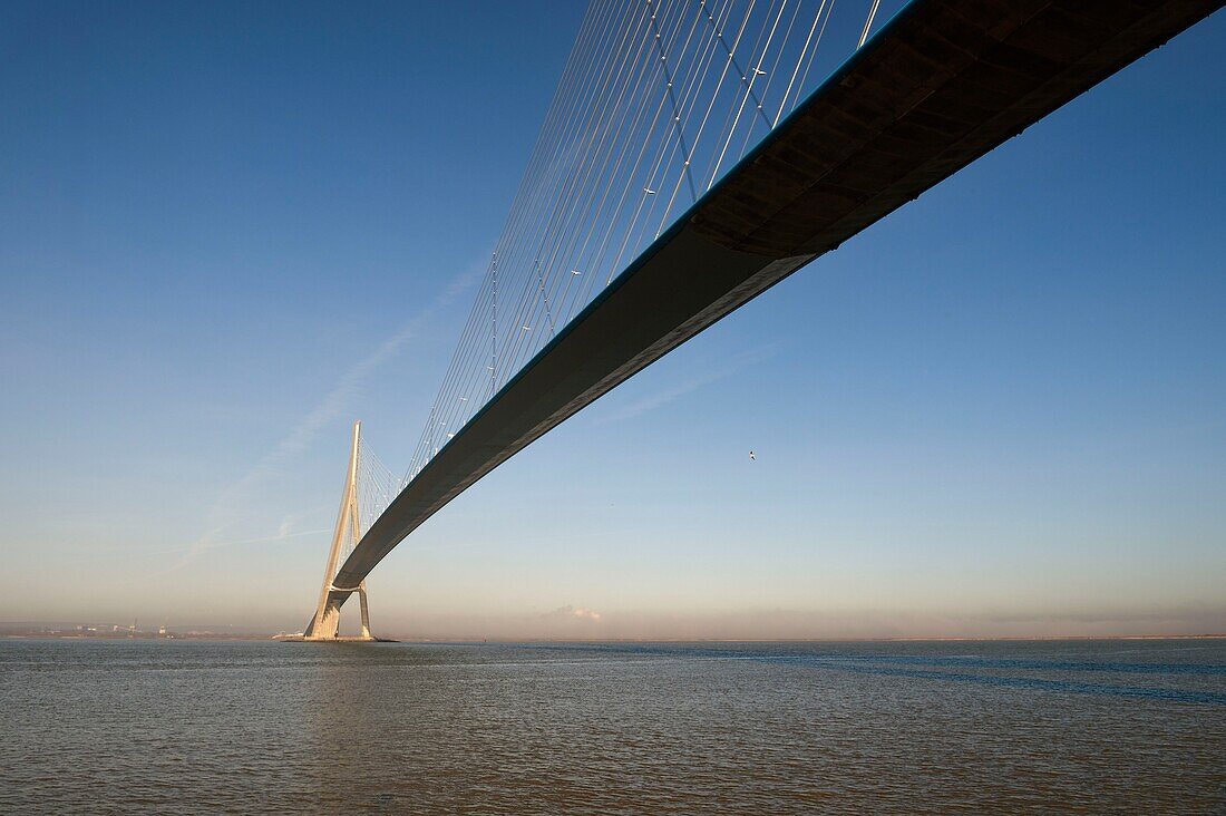 Frankreich, zwischen Calvados und Seine Maritime, die Pont de Normandie (Normandie-Brücke), die Fahrbahn ist aus Spannbeton, mit Ausnahme des mittleren Teils, der aus Metall besteht