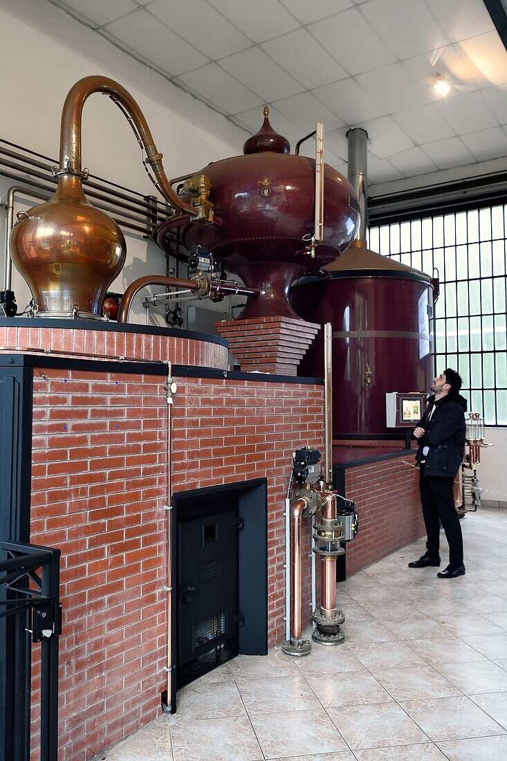 France, Calvados, Pays d'Auge, Le Breuil en Auge, Chateau du Breuil producer of Calvados AOC Pays d'Auge, distillery, alembic with tanks of cognac type