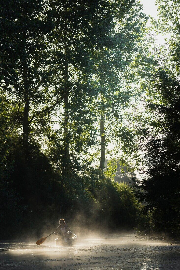 France, Morbihan, La Gacilly, kayaker in the marsh mist at Glenac