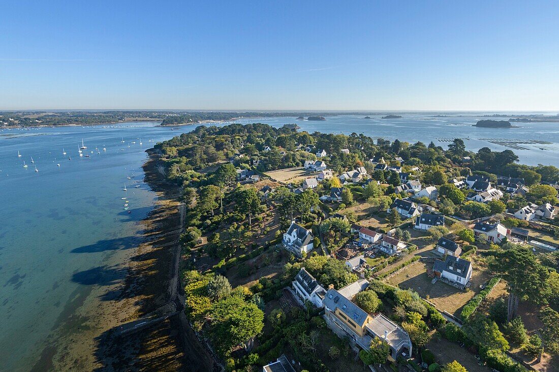 France, Morbihan, Ile-aux-Moines, aerial view of the Gulf of Morbihan and Monk island