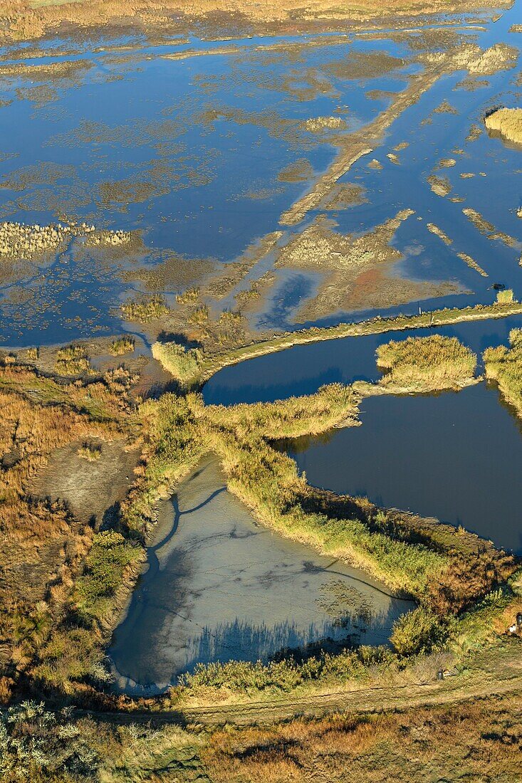 France, Morbihan, Sarzeau, aerial view of the Golfe of Morbihan, Saint-Colombier marshes