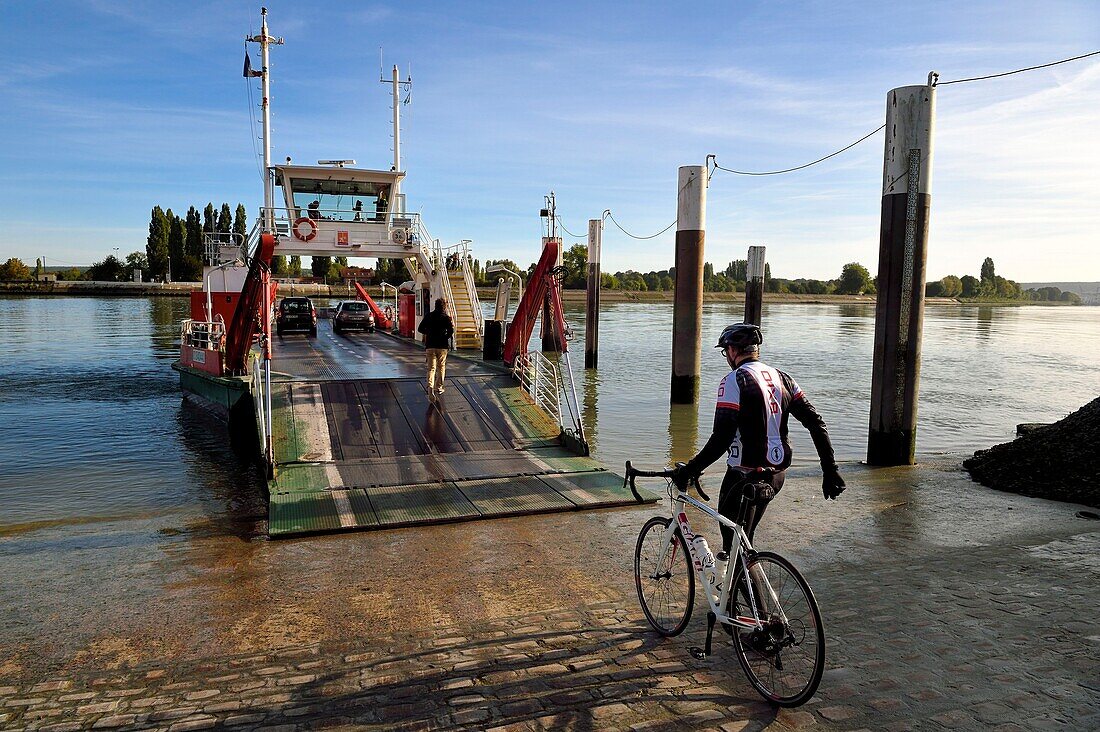 France, Seine-Maritime, Norman Seine River Meanders Regional Nature Park, the ferry crossing the Seine at the village of La Bouille, cyclists on the Veloroute of Val de Seine