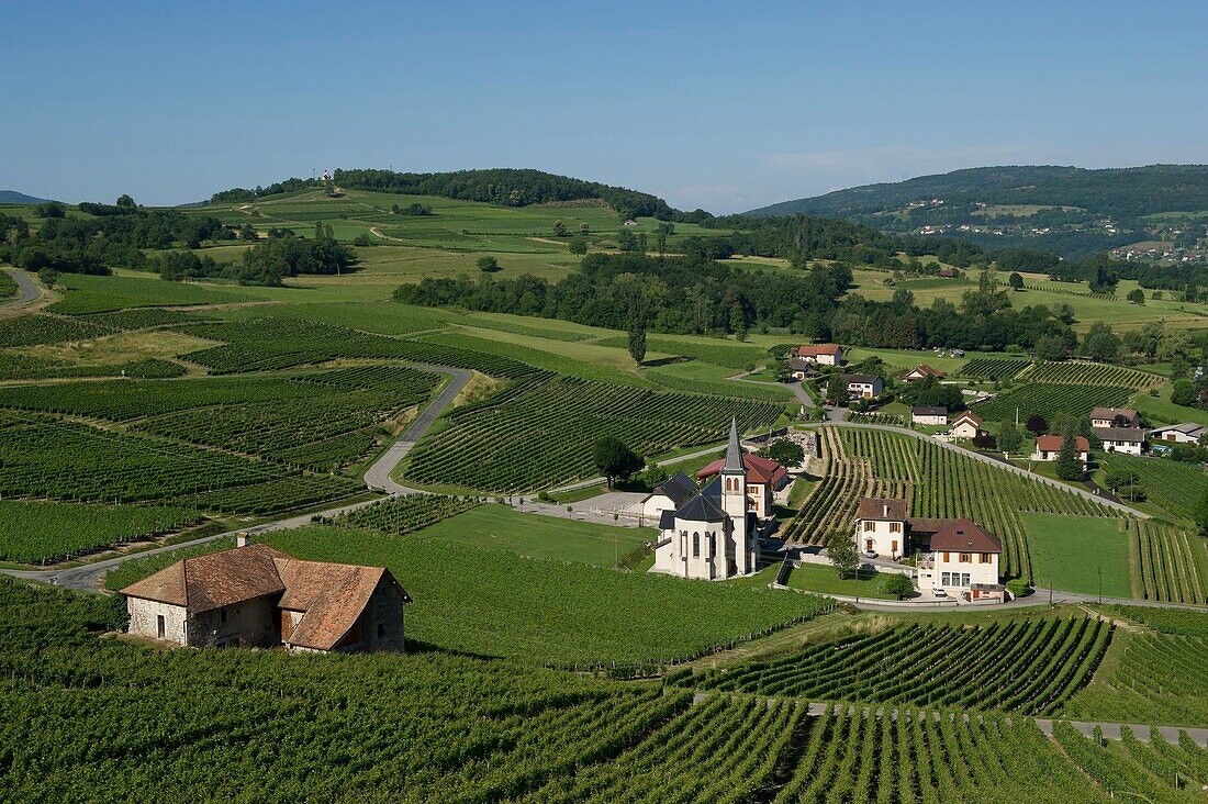 France, Savoie, before Savoyard country, the vineyards and the village of Jongieux