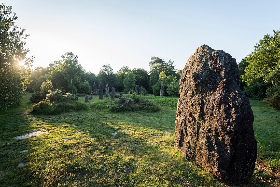 Frankreich, Morbihan, Monteneuf, die megalithische Domäne der Geraden Steine bei Sonnenaufgang