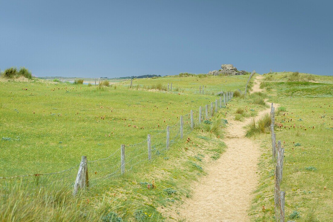 Frankreich, Morbihan, Plouharnel, die Küste von Sainte-Barbe unter einem stürmischen Himmel