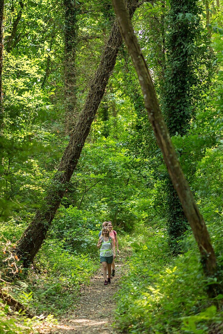 France, Morbihan, Pluméliau-Bieuzy, the Méandre hiking trail along the Nantes-Brest canal to the village of Saint-Nicolas-des-eaux