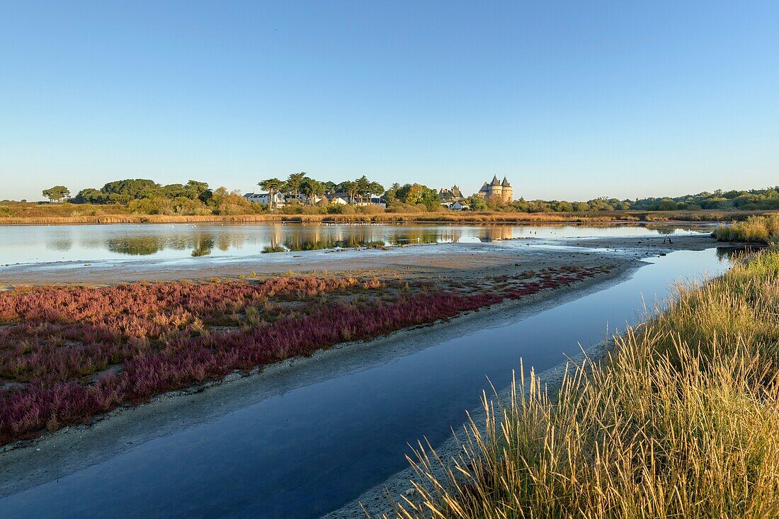 France, Morbihan, Sarzeau, the marshes of castle of Suscinio on the peninsula of Rhuys at sunrise