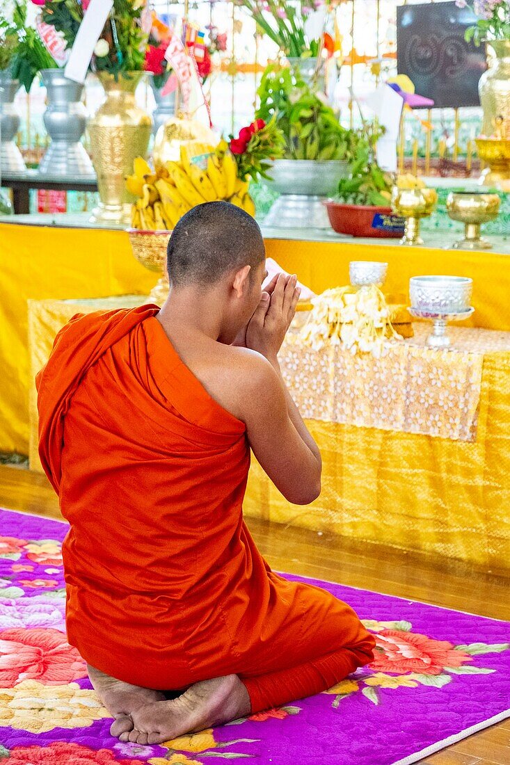 Myanmar (Burma), Yangon, Shwe Gon Daing district, Paya Chaukhtatgyi, monk