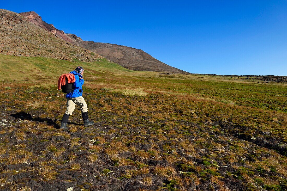 Grönland, Nordwestküste, Murchison Sound nördlich der Baffin Bay, Wanderer in der Tundra des Robertson Fjords bei Siorapaluk