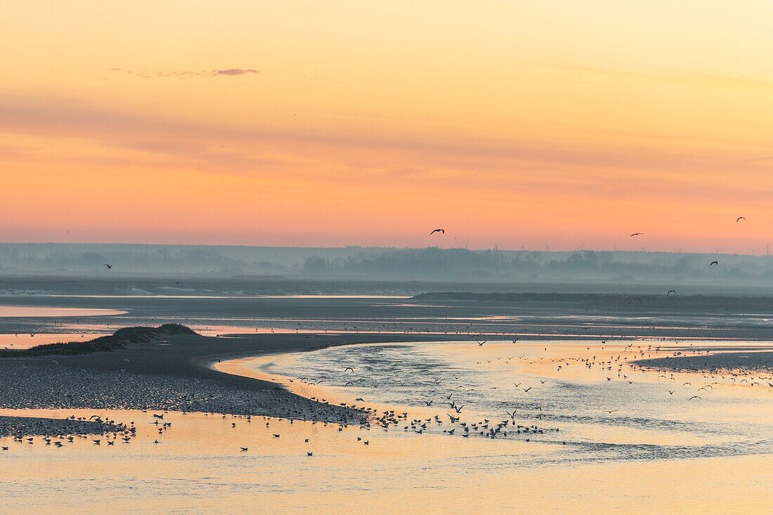 France, Somme, Baie de Somme, Saint-Vaery-sur-Somme, hiver, aube sur la baie depuis les quais de Saint-Valery le long du chenal de la Somme / / France, Somme, Baie de Somme, Dawn on the bay from the quays of Saint-Valery along the channel of the Somme