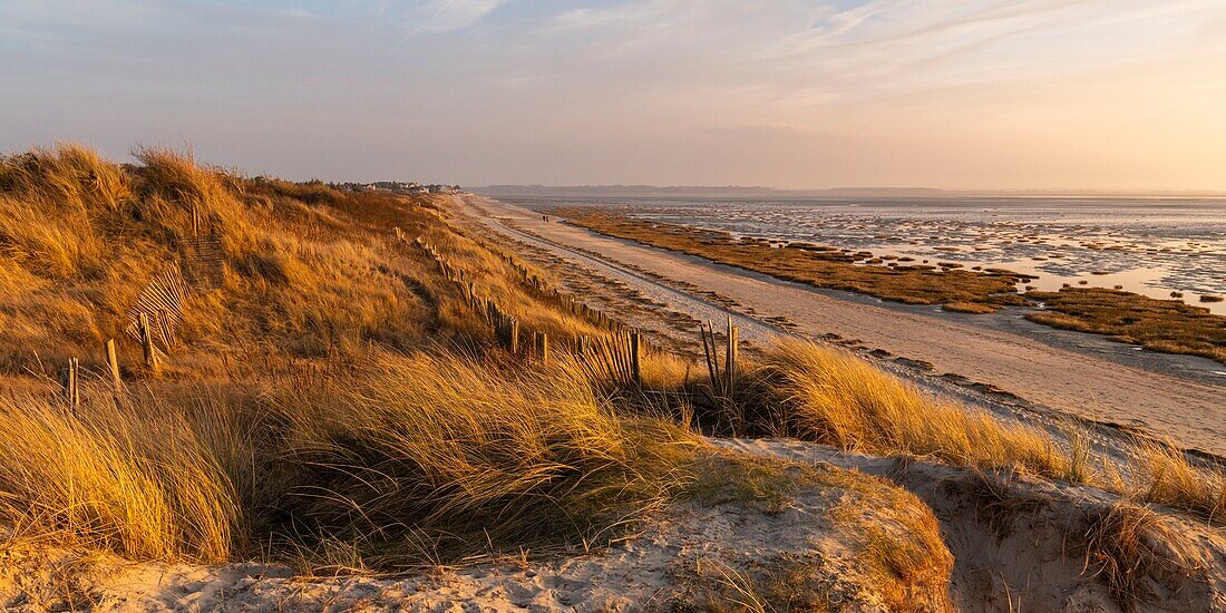 France, Somme, Baie de Somme, Le Crotoy, the Crotoy beach and the Baie de Somme seen from the dunes that line the bay