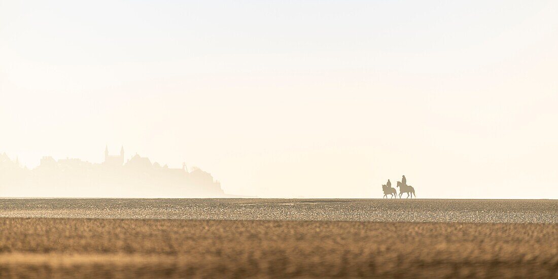 France, Somme, Baie de Somme, Natural Reserve of the Baie de Somme, Le Crotoy, horseback riders walk in the bay at low tide (Baie de Somme), the silhouette of Le Crotoy emerges from the mist