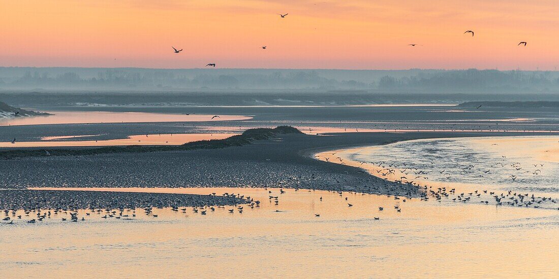 France, Somme, Baie de Somme, Dawn on the bay from the quays of Saint-Valery along the channel of the Somme