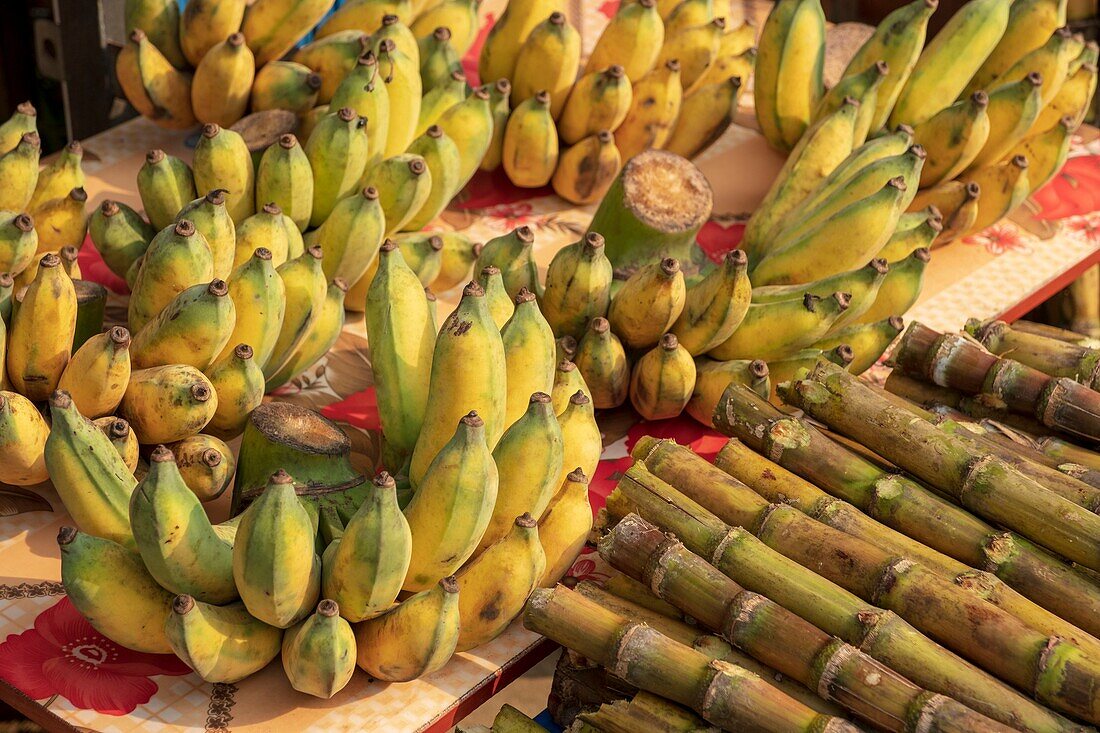 Vietnam, Lao Cai province, Sa Pa town, bananas and sugar cane
