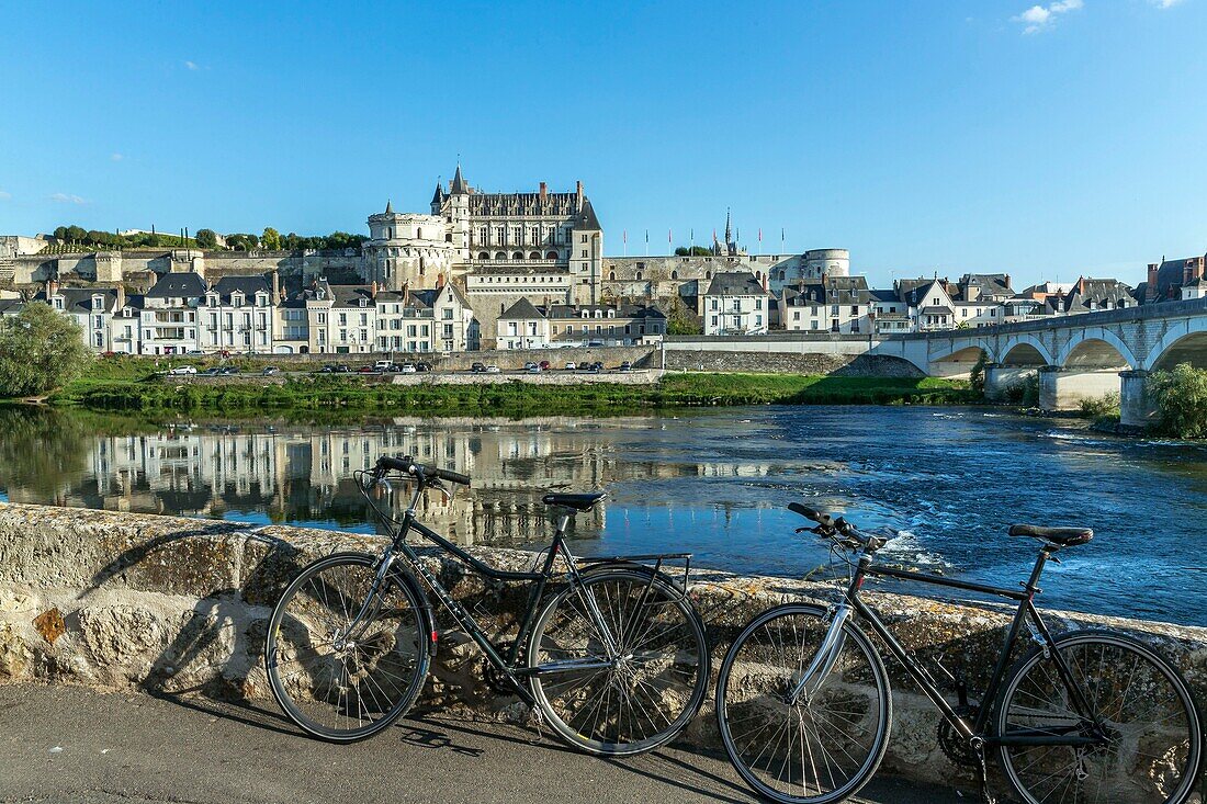 Frankreich, Indre et Loire, Loire-Tal (UNESCO-Welterbe), Amboise, Schloss Amboise, das Schloss von Amboise vom Dile d'Or über der Loire