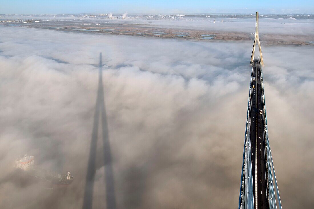 France, between Calvados and Seine Maritime, cargo passing under the Pont de Normandie (Normandy Bridge) that emerges from the morning mist of autumn and spans the Seine, the Natural Reserve of the Seine estuary in the background, view from the top of the south pylon