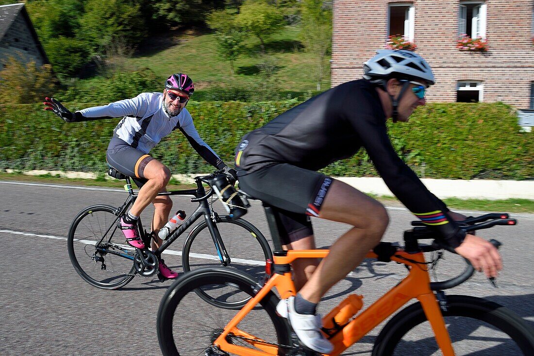 Frankreich, Seine-Maritime, Regionaler Naturpark der normannischen Seine-Mäander, Bardouville, Radfahrer auf der Veloroute des Val de Seine