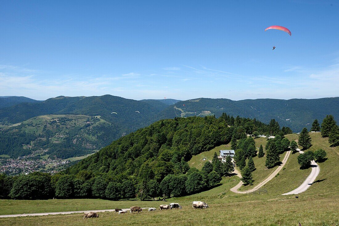 France, Haut Rhin, Hautes Vosges, Le Treh, paragliding flight area, overlooking Oderen and the Upper Thur Valley