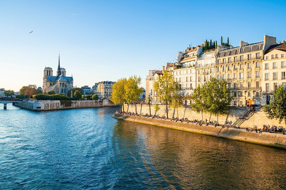 Frankreich, Paris, von der UNESCO zum Weltkulturerbe erklärtes Gebiet, das Seineufer, die Insel Saint Louis und die Ile de la Cite mit der Kathedrale Notre Dame