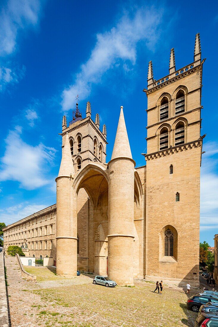France, Herault, Montpellier, historic center, the Ecusson, the Cathedral Saint Pierre of the 16th century