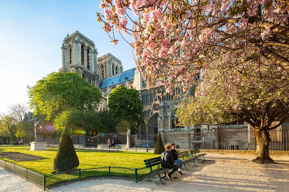 France, Paris, area listed as World Heritage by UNESCO, Notre-Dame cathedral in spring, cherry blossoms