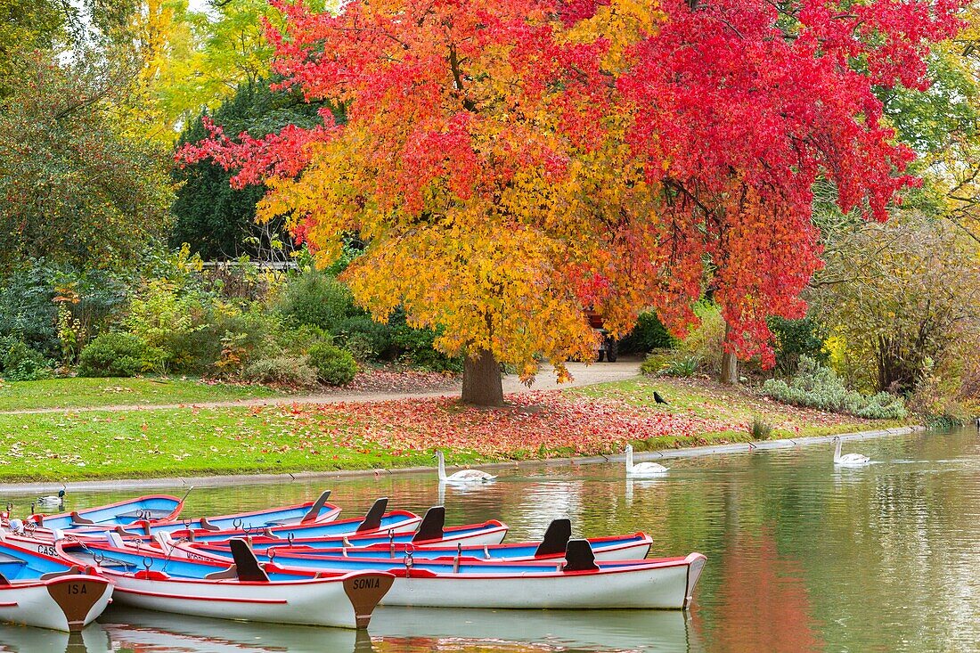 France, Paris, the Bois de Vincennes in autumn, Lake Daumesnil