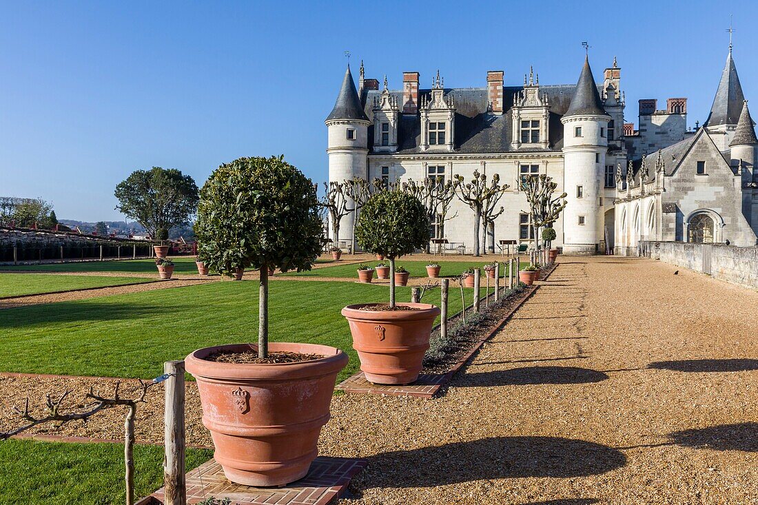 Frankreich, Indre et Loire, Loire-Tal (UNESCO-Welterbe), Amboise, Schloss Amboise, das Schloss von Amboise vom Dile d'Or über der Loire