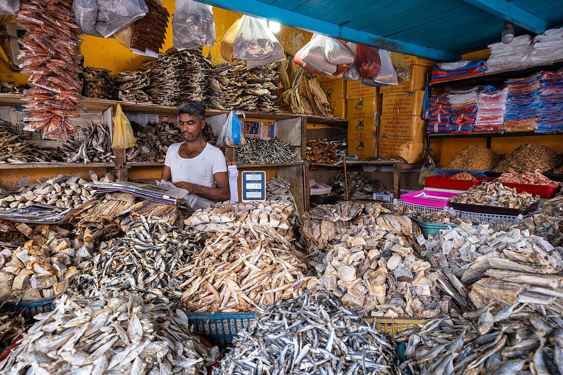 Sri Lanka, Western province, Negombo, dried fish shop