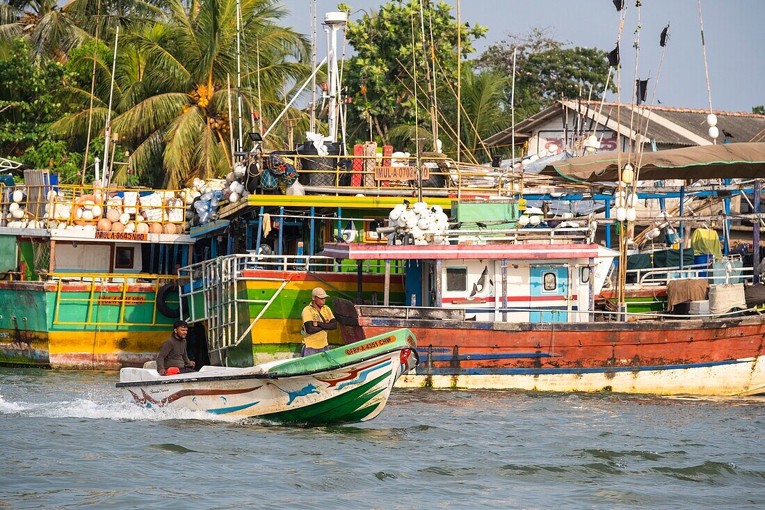 Sri Lanka, Westprovinz, Negombo, Fischerboote in der Lagune von Negombo