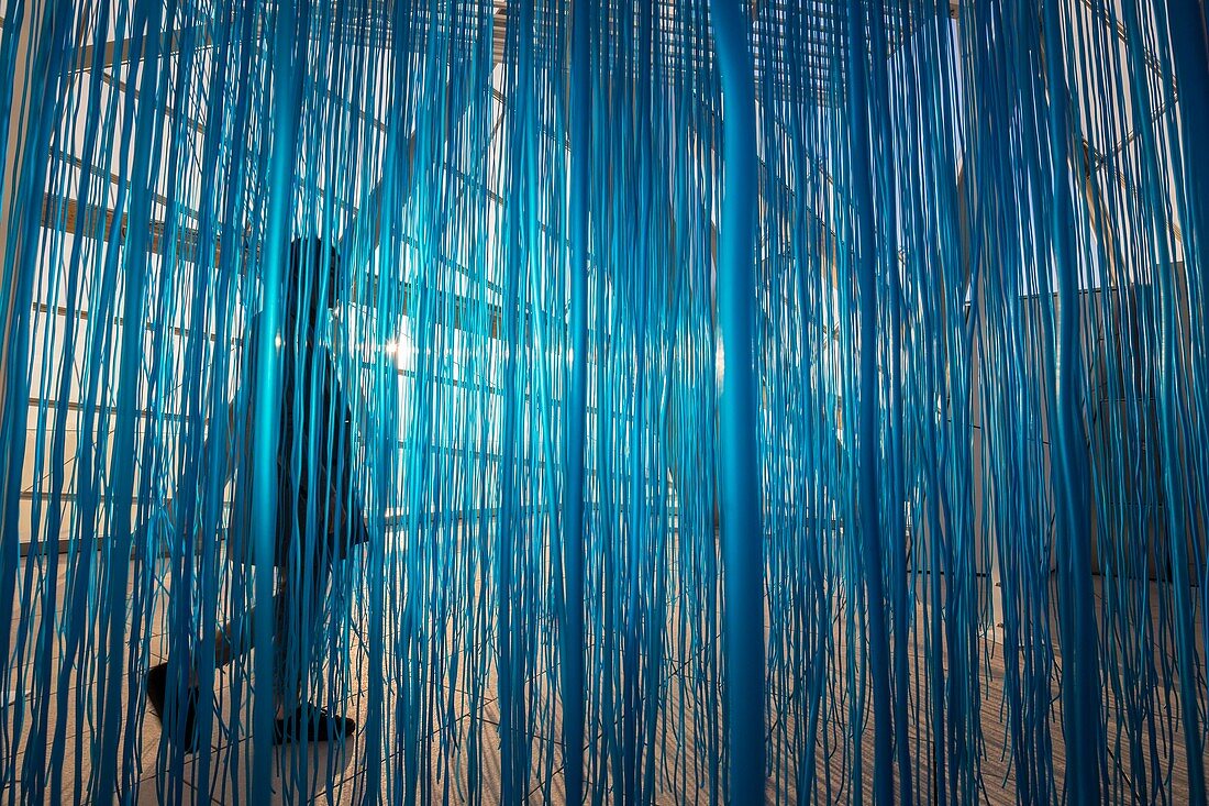 France, Paris, Bois de Boulogne, Louis Vuitton Foundation by architect Frank Gehry, installation of Venezuelan artist Jesús Rafael Soto : Penetrable BBL Blue