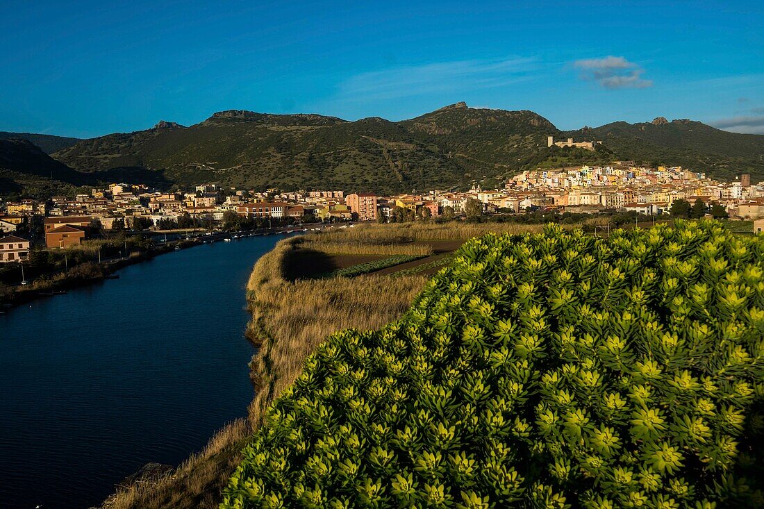 Italy, Sardinia, Bosa, village from the marina