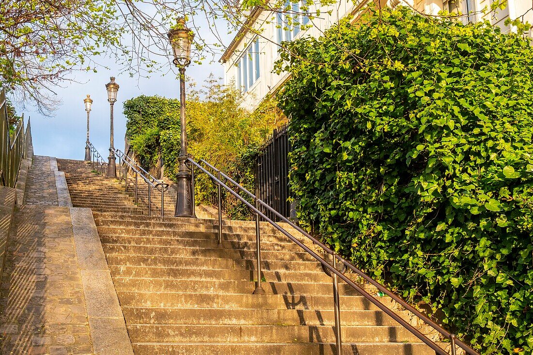 France, Paris, Butte Montmartre, Maurice Utrillo Street Stairs