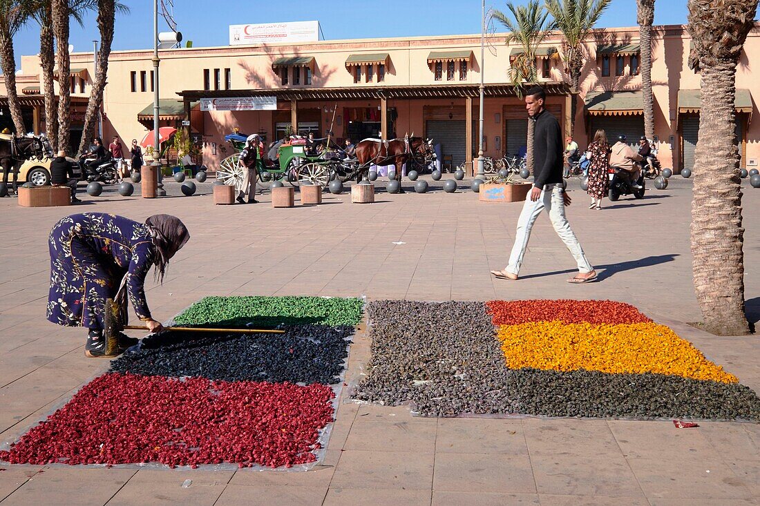 Marokko, Hoher Atlas, Marrakesch, Reichsstadt, Medina, von der UNESCO zum Weltkulturerbe erklärt, Viertel der Kasbah, Trocknen von Blumen im Freien