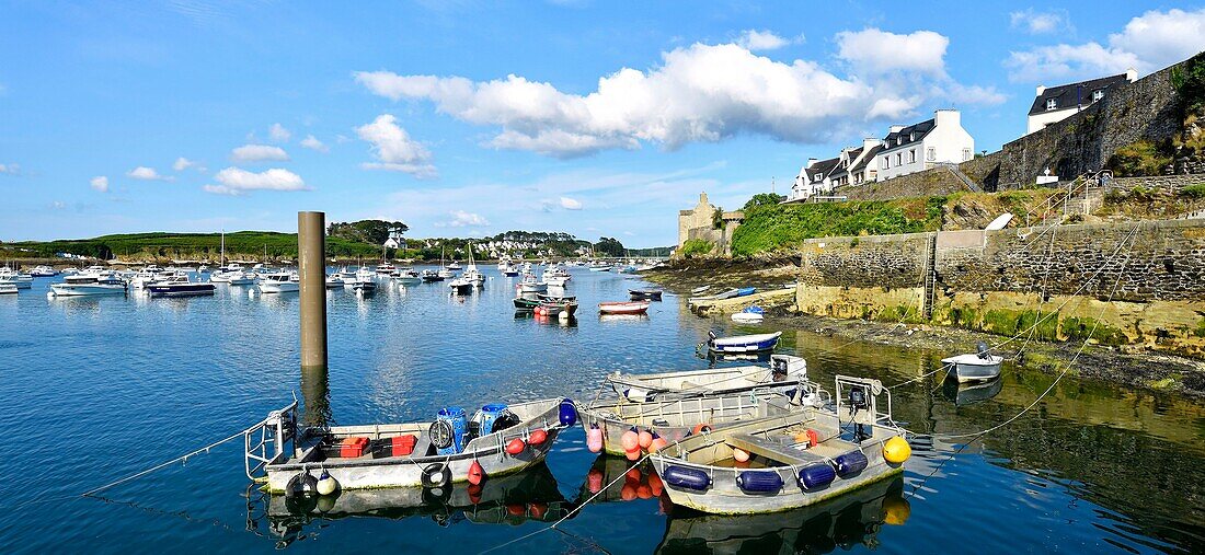 France, Finistere, Iroise see, Armorique Regional natural park, Le Conquet, the harbour