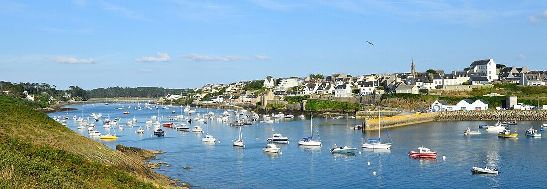 France, Finistere, Iroise see, Armorique Regional natural park, Le Conquet, the harbour