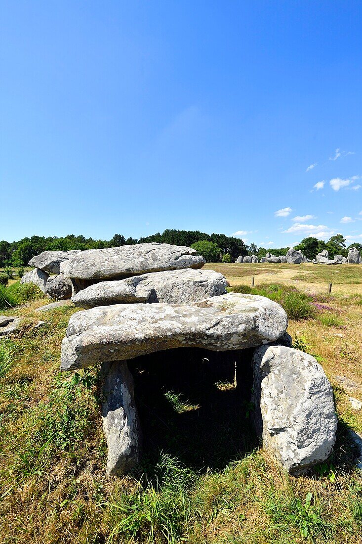 France, Morbihan, Carnac, row of megalithic standing stones at Kermario