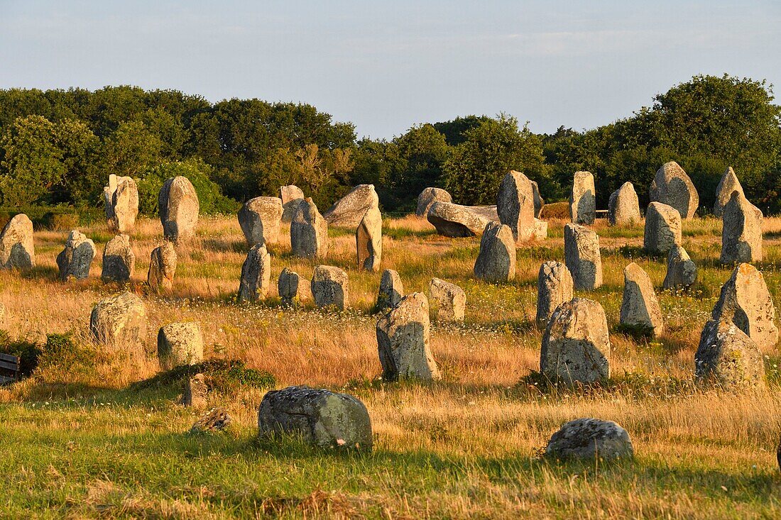 Frankreich, Morbihan, Carnac, megalithische Stätte von Menec