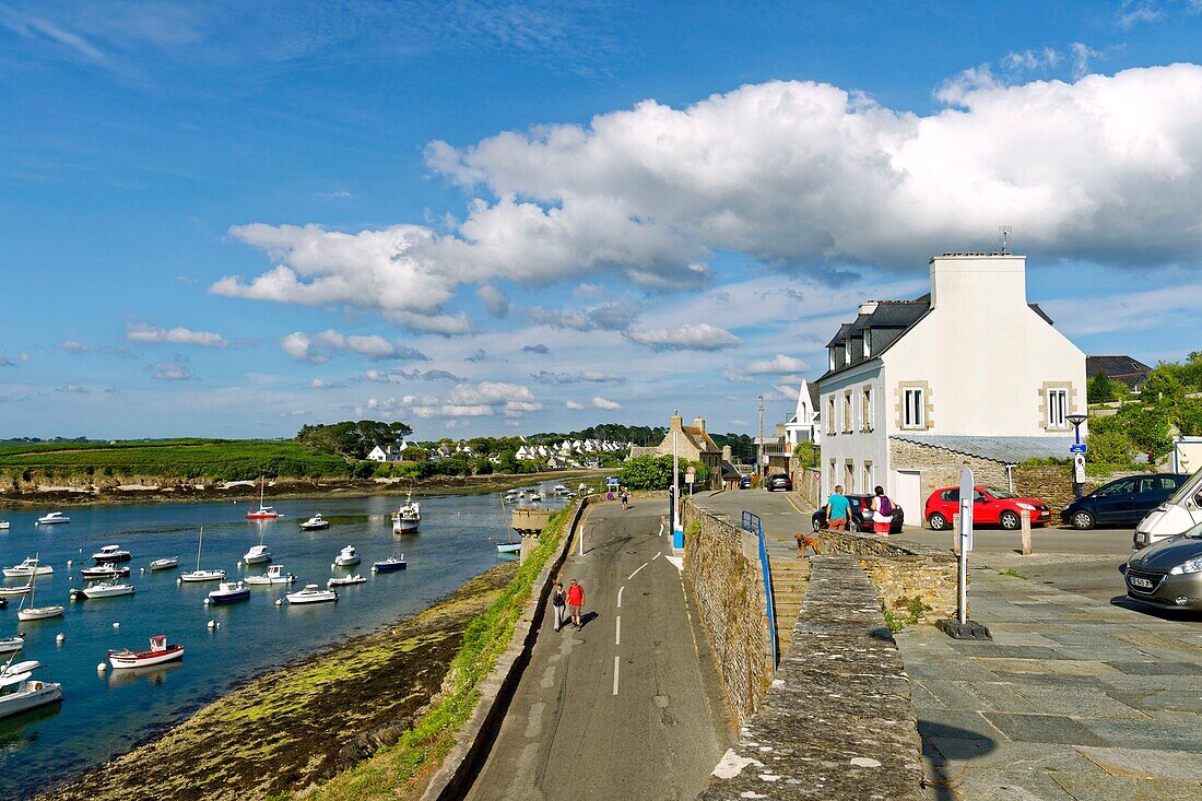 Frankreich, Finistere, See Iroise, Regionaler Naturpark Armorique, Le Conquet, der Hafen