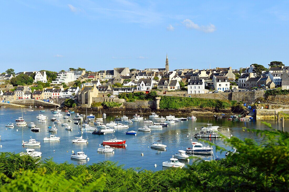 France, Finistere, Iroise see, Armorique Regional natural park, Le Conquet, the harbour