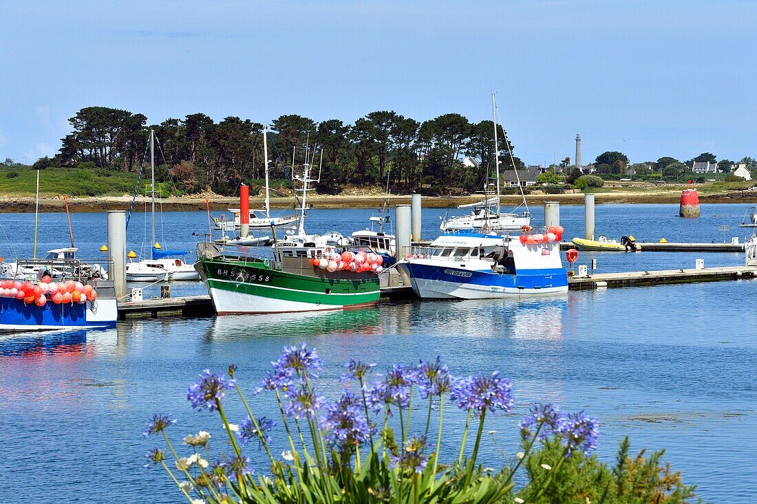 Frankreich, Finistere, Pays des Abers, Legendäre Küste, Plouguerneau, Aber Wrac'h Hafen