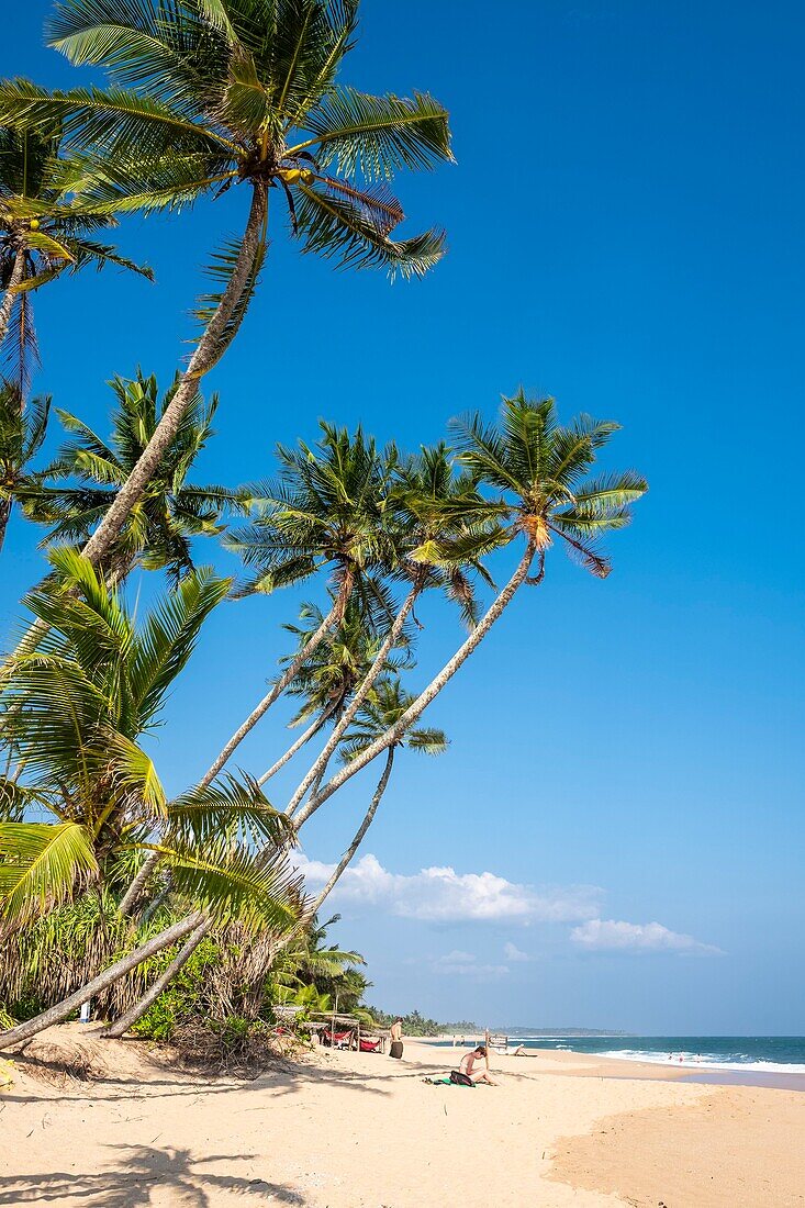 Sri Lanka, Southern province, Tangalle, Marakolliya Beach