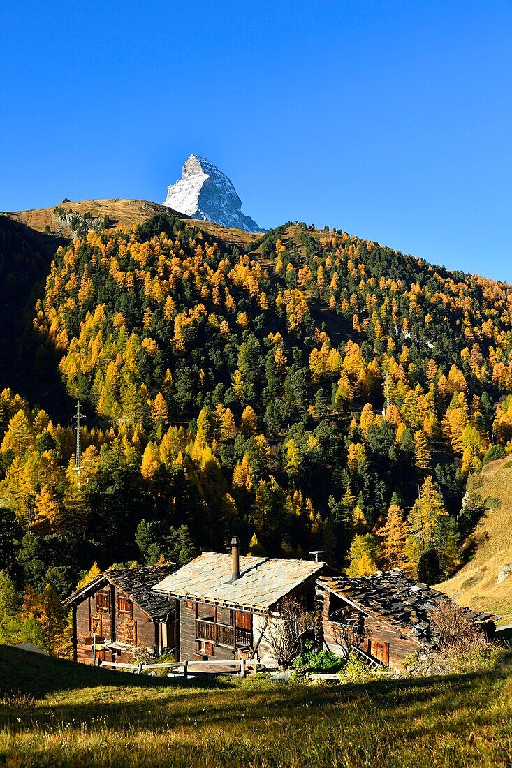 Schweiz, Kanton Wallis, Zermatt, Weiler Zmutt vor dem Matterhorn (4478m)