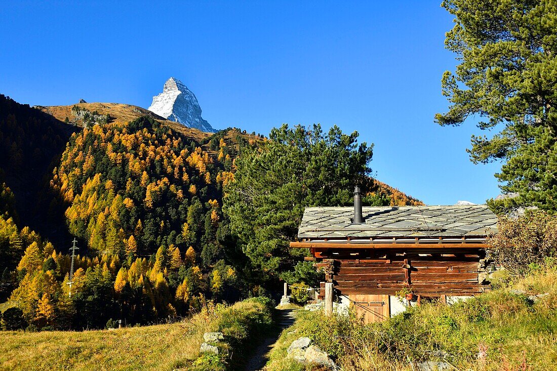 Schweiz, Kanton Wallis, Zermatt, Weiler Zmutt vor dem Matterhorn (4478m)