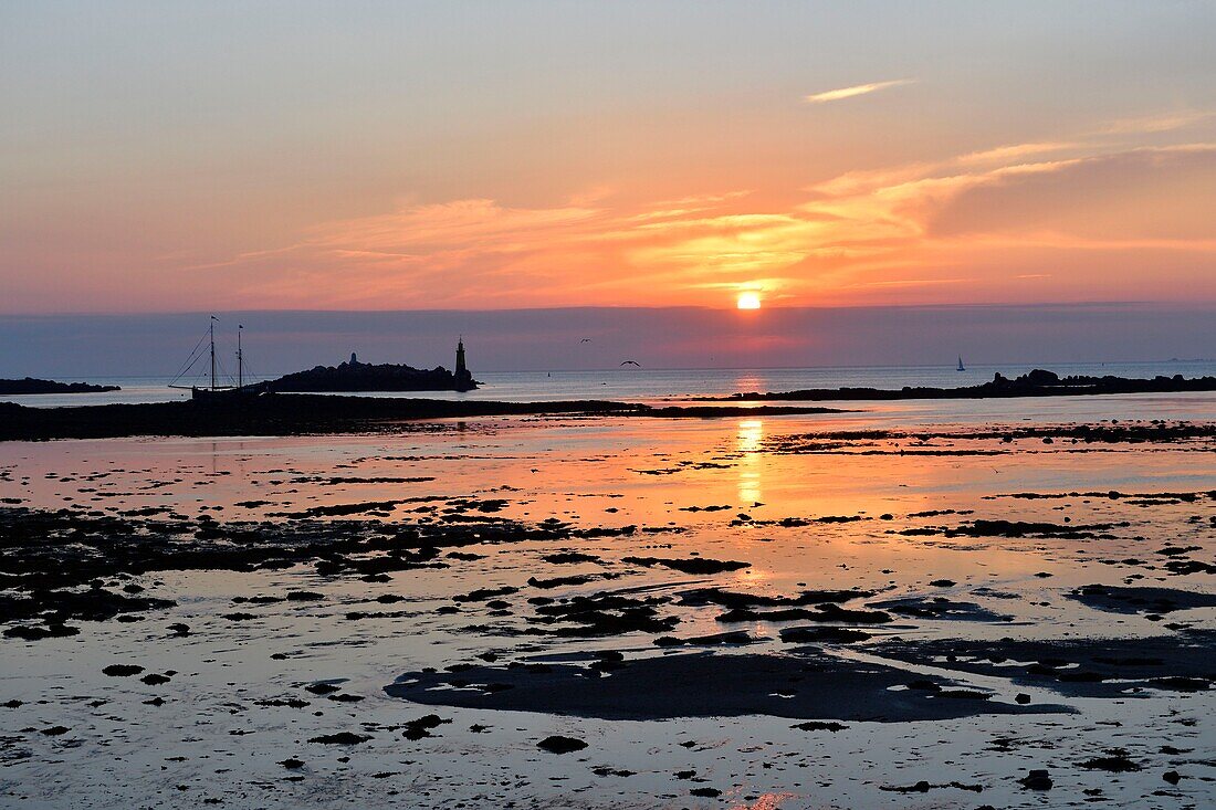 Frankreich, Finistere, Roscoff bei Ebbe