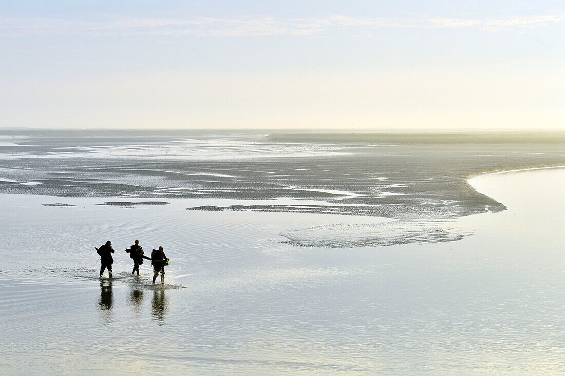 France, Somme, Baie de Somme, Saint Valery sur Somme, mouth of the Somme Bay at low tide