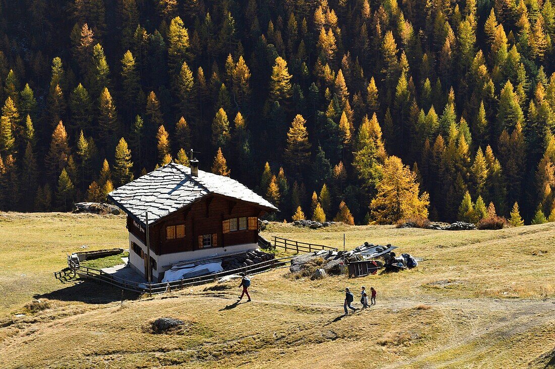 Switzerland, canton of Valais, Zermatt, hamlet Findeln at the foot of the Matterhorn