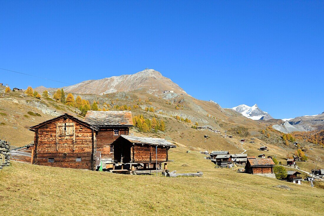 Switzerland, canton of Valais, Zermatt, hamlet Findeln at the foot of the Matterhorn, summit Strahlhorn and Adlerhorn