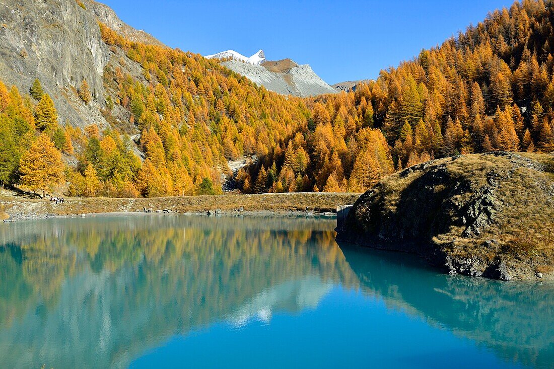 Schweiz, Kanton Wallis, Zermatt, Findelntal, Moosjisee und Walliser Alpen, Gipfel Strahlhorn und Adlerhorn