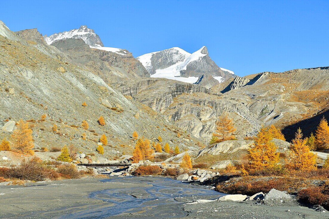 Switzerland, canton of Valais, Zermatt, Findelntal (Findeln valley) with Rimpfischhorn and Strahlhorn peaks